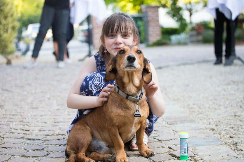 Hochzeitsvideo Ausschnitt Augsburg - Hochzeitsfotos mit Hund