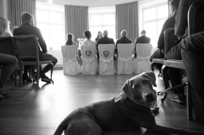 Standesamt Fotograf – Trauung mit Hund